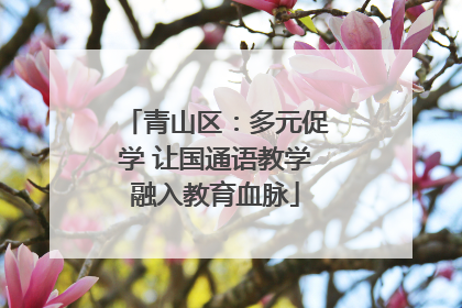 青山区：多元促学 让国通语教学融入教育血脉