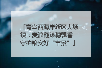 青岛西海岸新区大场镇：麦浪翻滚穗飘香 守护粮安好“丰景”