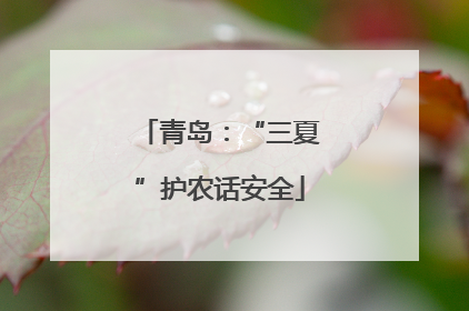 青岛：“三夏”护农话安全