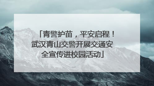 青警护苗，平安启程！武汉青山交警开展交通安全宣传进校园活动