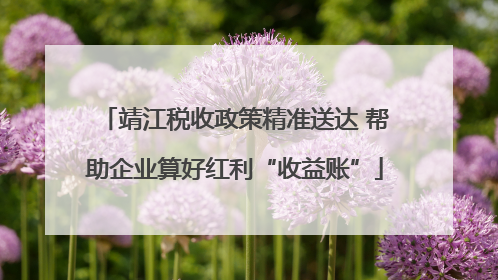 靖江税收政策精准送达 帮助企业算好红利“收益账”
