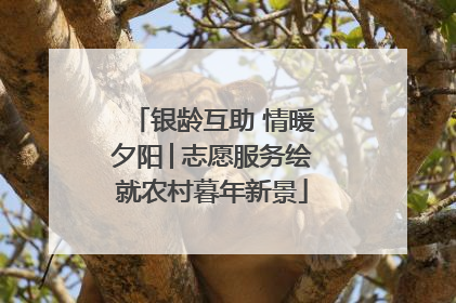 银龄互助 情暖夕阳│志愿服务绘就农村暮年新景