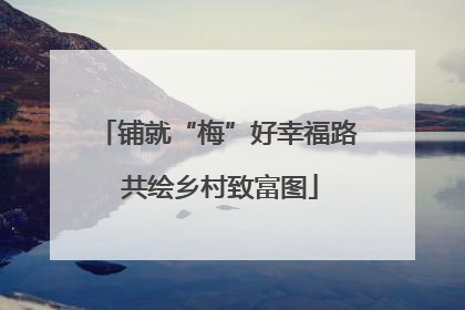 铺就“梅”好幸福路 共绘乡村致富图