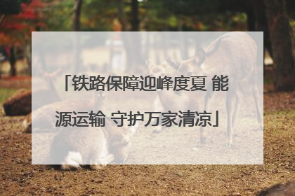 铁路保障迎峰度夏 能源运输 守护万家清凉