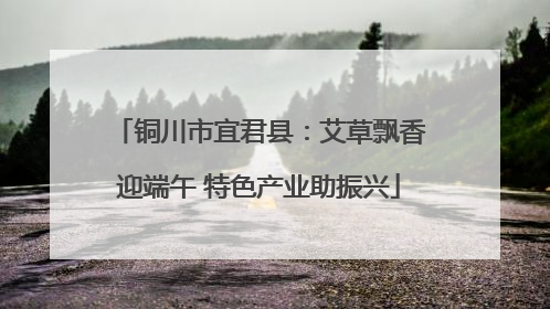 铜川市宜君县：艾草飘香迎端午 特色产业助振兴