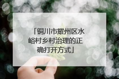 铜川市耀州区水峪村乡村治理的正确打开方式