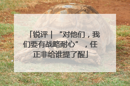 锐评｜“对他们，我们要有战略耐心”，任正非给谁提了醒