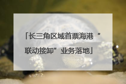 长三角区域首票海港“联动接卸”业务落地