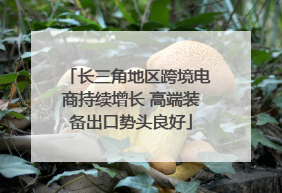 长三角地区跨境电商持续增长 高端装备出口势头良好