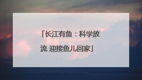 长江有鱼：科学放流 迎接鱼儿回家