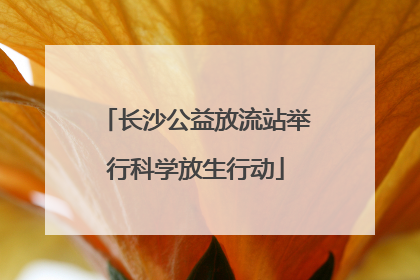 长沙公益放流站举行科学放生行动