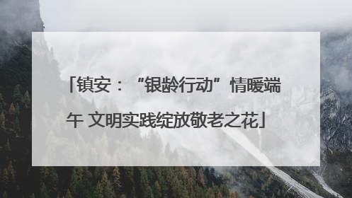 镇安：“银龄行动”情暖端午 文明实践绽放敬老之花