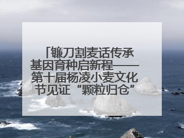 镰刀割麦话传承 基因育种启新程——第十届杨凌小麦文化节见证“颗粒归仓”时空跨越