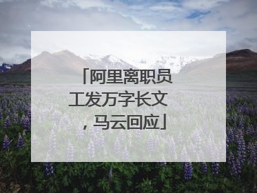 阿里离职员工发万字长文，马云回应