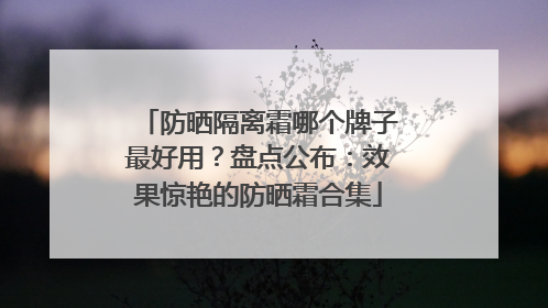 防晒隔离霜哪个牌子最好用？盘点公布：效果惊艳的防晒霜合集