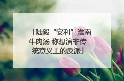 陆毅“安利”淮南牛肉汤 称想演非传统意义上的反派