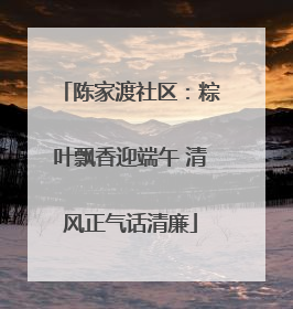 陈家渡社区：粽叶飘香迎端午 清风正气话清廉