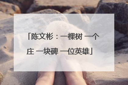 陈文彬：一棵树 一个庄 一块碑 一位英雄