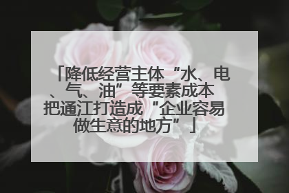 降低经营主体“水、电、气、油”等要素成本 把通江打造成“企业容易做生意的地方”