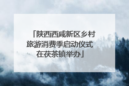陕西西咸新区乡村旅游消费季启动仪式在茯茶镇举办