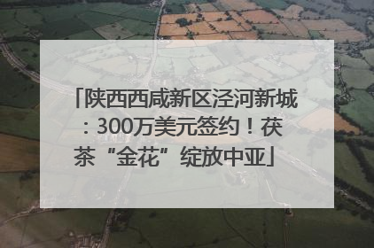 陕西西咸新区泾河新城：300万美元签约！茯茶“金花”绽放中亚