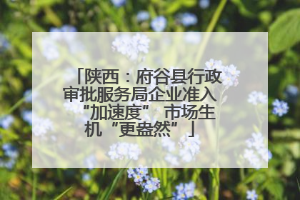 陕西：府谷县行政审批服务局企业准入“加速度” 市场生机“更盎然”