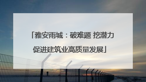 雅安雨城：破难题 挖潜力 促进建筑业高质量发展
