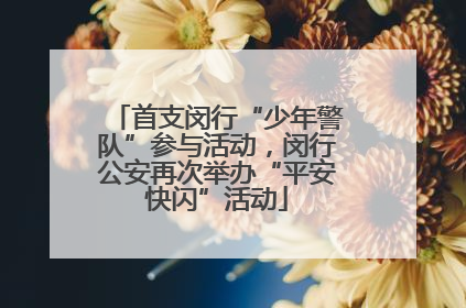 首支闵行“少年警队”参与活动，闵行公安再次举办“平安快闪”活动