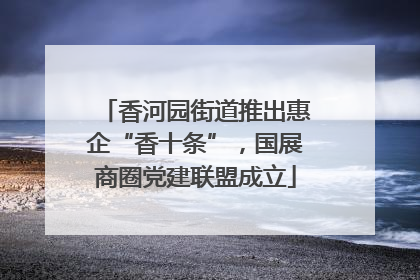 香河园街道推出惠企“香十条”，国展商圈党建联盟成立