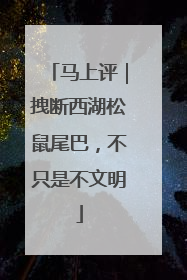 马上评｜拽断西湖松鼠尾巴，不只是不文明