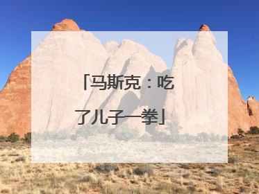 马斯克：吃了儿子一拳