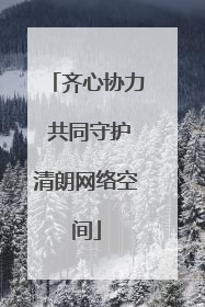 齐心协力 共同守护清朗网络空间