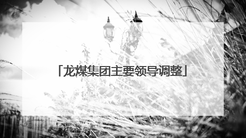 龙煤集团主要领导调整
