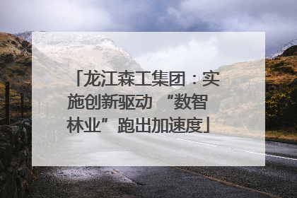 龙江森工集团：实施创新驱动 “数智林业”跑出加速度