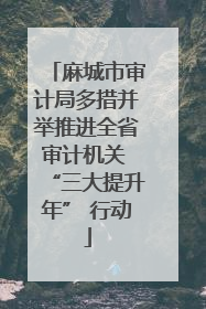 麻城市审计局多措并举推进全省审计机关 “三大提升年” 行动