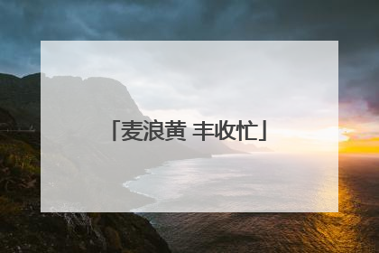 麦浪黄 丰收忙