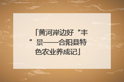 黄河岸边好“丰”景——合阳县特色农业养成记