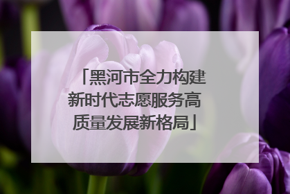 黑河市全力构建新时代志愿服务高质量发展新格局