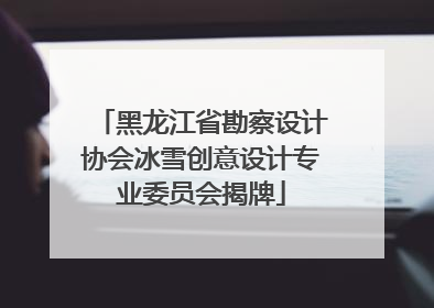 黑龙江省勘察设计协会冰雪创意设计专业委员会揭牌