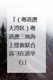 （粤港澳大湾区）粤港澳三地海上搜救联合演习在港举行