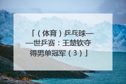 （体育）乒乓球——世乒赛：王楚钦夺得男单冠军（3）