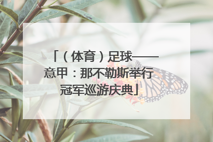 （体育）足球——意甲：那不勒斯举行冠军巡游庆典