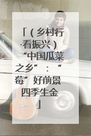（乡村行·看振兴）“中国瓜菜之乡”：“莓”好前景 四季生金