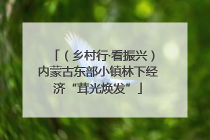 （乡村行·看振兴）内蒙古东部小镇林下经济“茸光焕发”