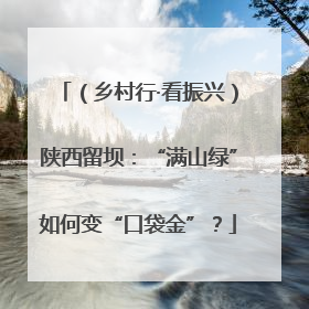 （乡村行·看振兴）陕西留坝：“满山绿”如何变“口袋金”？