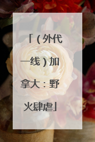 （外代一线）加拿大：野火肆虐