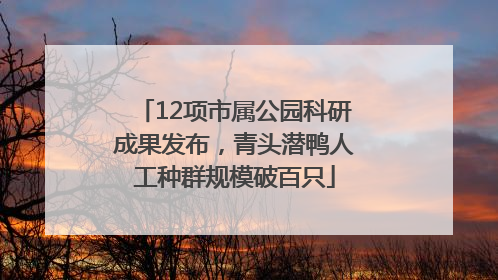 12项市属公园科研成果发布，青头潜鸭人工种群规模破百只