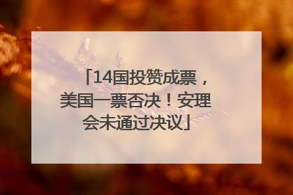 14国投赞成票，美国一票否决！安理会未通过决议