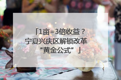 1亩=3倍收益？宁夏兴庆区解锁改革“黄金公式”