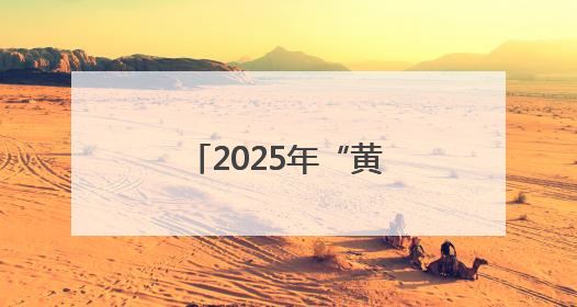 2025年“黄河入海•才聚东营”招才引智高校行活动成功举办
